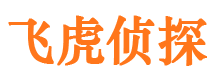 泾源市出轨取证